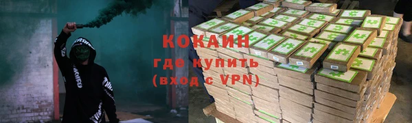 крисы Белокуриха