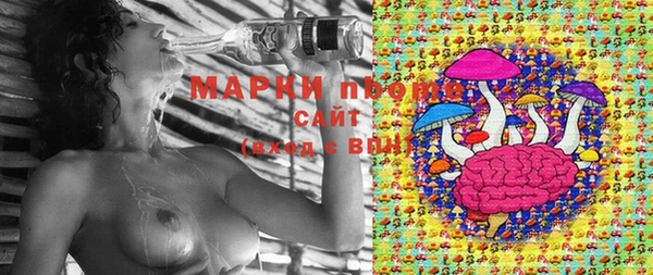 крисы Белокуриха