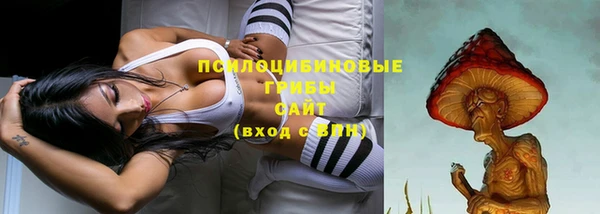 мяу мяу мука Беломорск