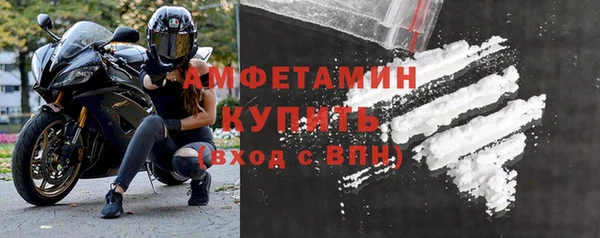 стафф Богданович