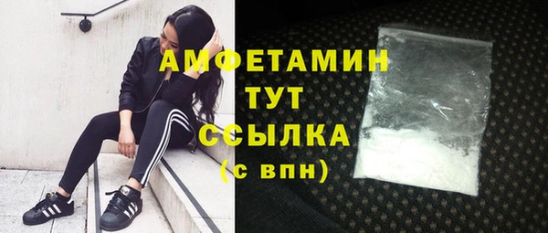 стафф Богданович