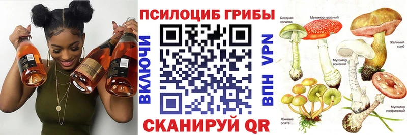 Галлюциногенные грибы Cubensis  даркнет сайт  Минеральные Воды 