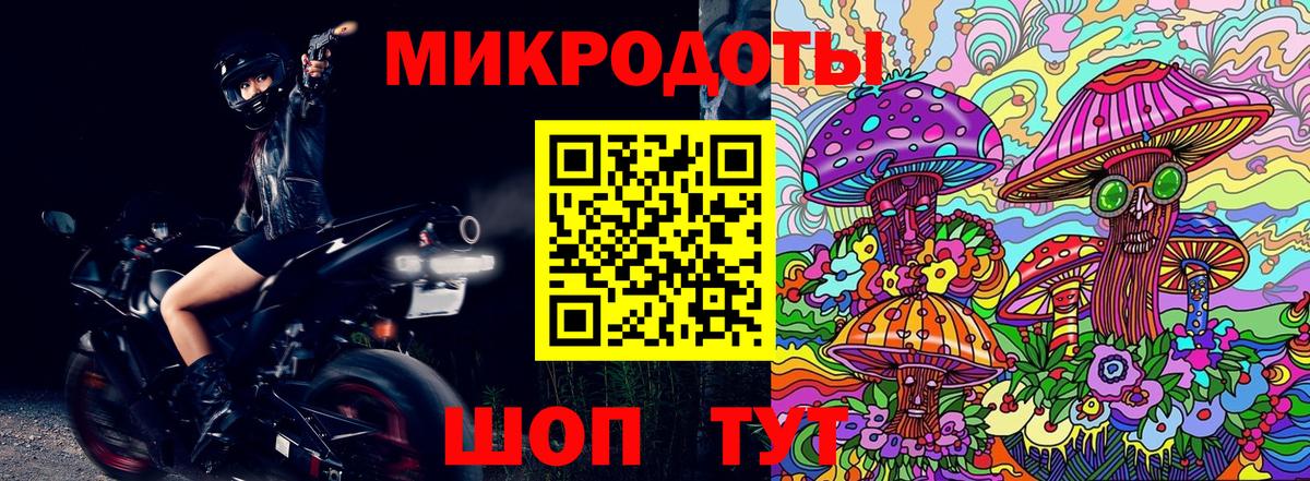 Псилоцибиновые грибы Psilocybe Минеральные Воды