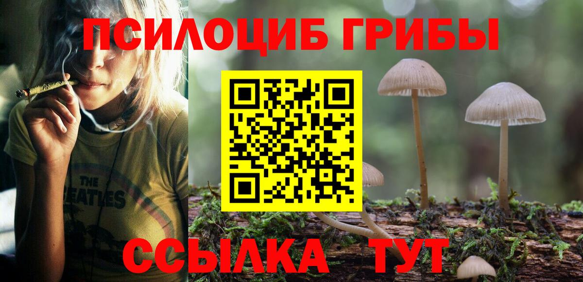 Минеральные Воды  Галлюциногенные грибы Psilocybe  где можно купить наркотик  Псилоцибиновые грибы мицелий  Вход с VPN 